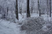 snow