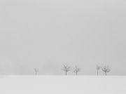 winter time # 2