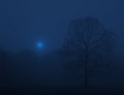 night time # 1