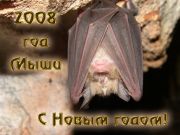 The Bat - Happy New Year