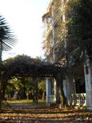 DSC00169