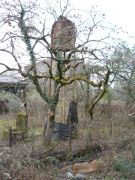 DSC00263