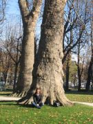 IMG 4585