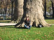 IMG 4586