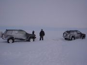 ���� ��������� ���������