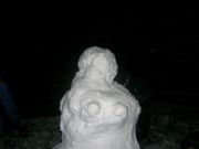 DSCN7462