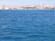 IMG 4492