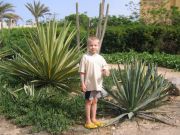IMG 4725