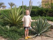 IMG 4726