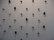 IMG 1324