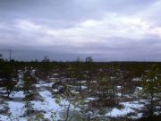 Рдейский-2008 001