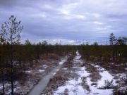 Рдейский-2008 002