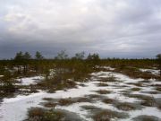 Рдейский-2008 007