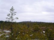 ближе