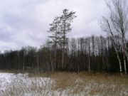 Рдейский-2008 022