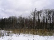 Рдейский-2008 023