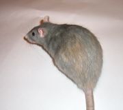 CIMG6688