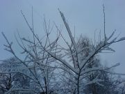 DSC04980