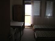 IMG 0011