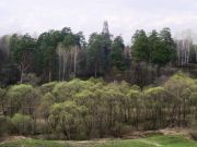 -2008 020