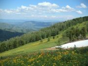 ����� �����