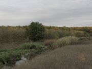 IMG 0264