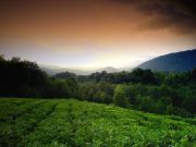 ����� �������� ��� !