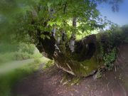 ������ � ������ 