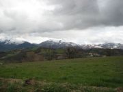 IMG 0761