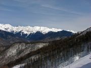 ���� �����