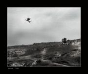 ***  � ����� ���������� ������ ***