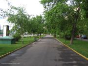 ������ 13