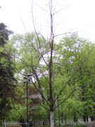 ������ 19