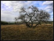 ������� ����� �� �����!