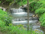 ���������� ���������