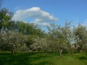 �������� ���