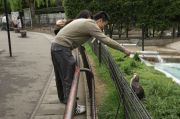 IMG 0540