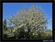 ������ � �����