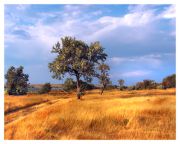 \\  ��� ������� �������.... \\