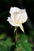 DSC00072