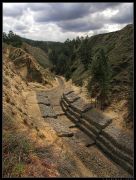 ������� ��������