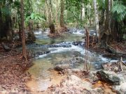 Crystal Waters national park1