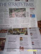       The Straits Times