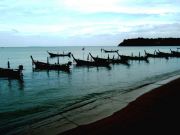 Fishing boats