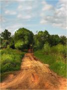 \\  �����  �������...... \\