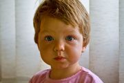 IMG 2233