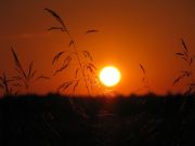 IMG 6159