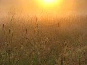 IMG 4172