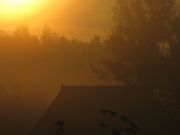 IMG 4220