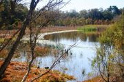 Lake Perry in Perth